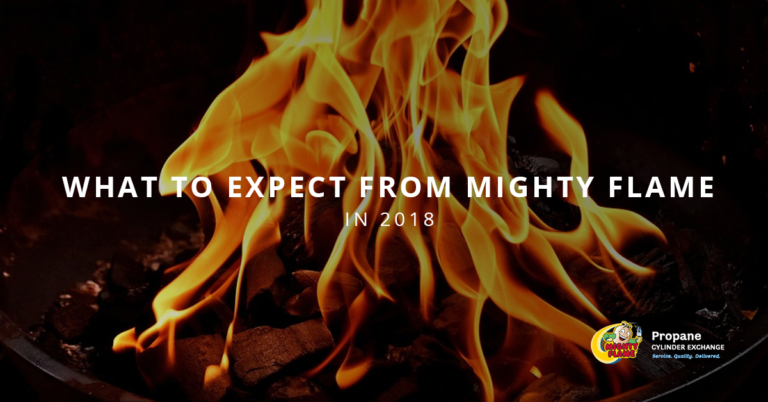 What to Expect From Mighty Flame in 2018