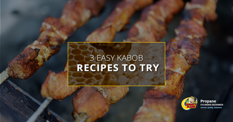 3 Easy Kabob Recipes to Try
