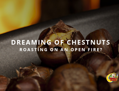 Dreaming of Chestnuts Roasting on an Open Fire?