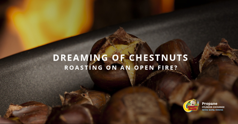 Dreaming of Chestnuts Roasting on an Open Fire?